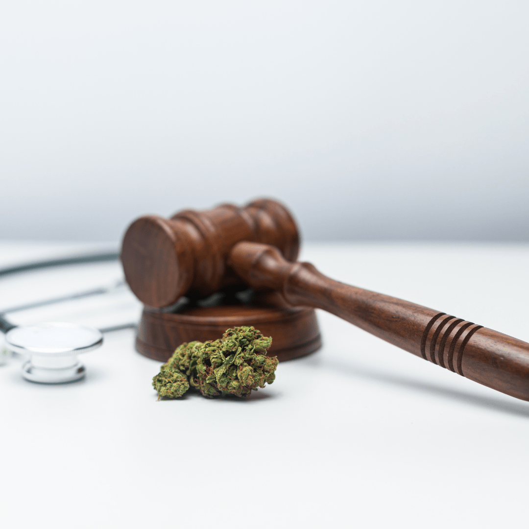 Opening a Dispensary