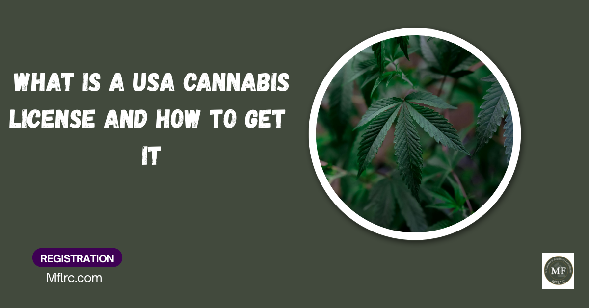 what is a USA cannabis license and how to get it