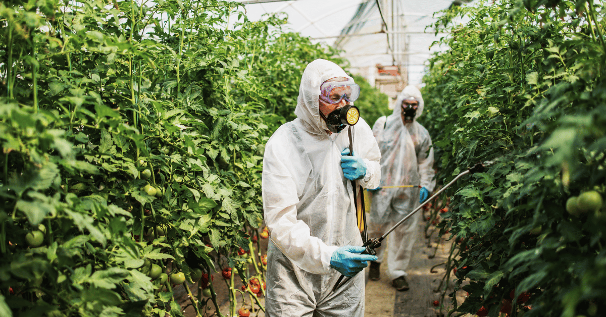 Provincial Cannabis Licenses