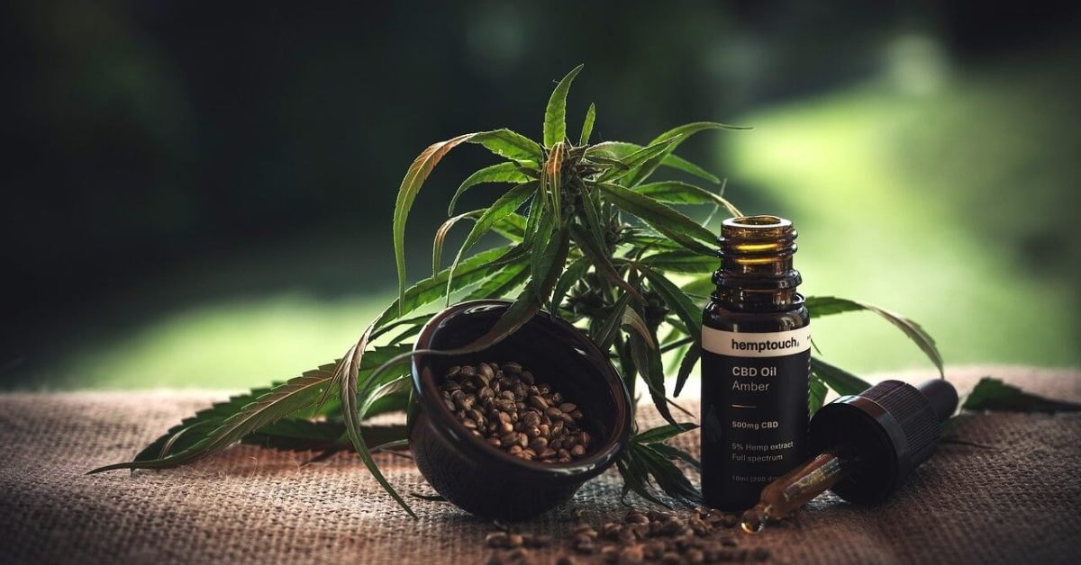 cannabis regulatory audit